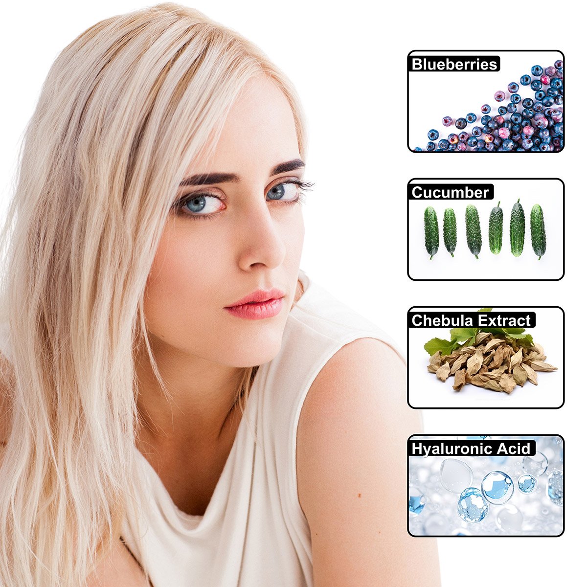 Blueberry-Chebula-Cream3.jpg Blueberry Chebula Vitamin C+ Face Cream – Daily Anti-Aging, Brightening & Hydrating Moisturizer | Fresh Blueberry, Cucumber & Chebula Extract + Hyaluronic Acid + Vitamins B5, C & E | 125mL - Image 3