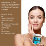 Blueberry Chebula Vitamin C+ Face Cream – Daily Anti-Aging, Brightening & Hydrating Moisturizer | Fresh Blueberry, Cucumber & Chebula Extract + Hyaluronic Acid + Vitamins B5, C & E | 125mL - Image 4