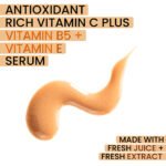 Blueberry Chebula Vitamin C+ Face Serum – Brightening, Anti-Aging & Hydrating | Hyaluronic Acid + Vitamin B5 & E | 30ML - Image 2