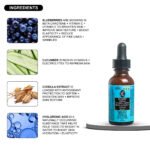Blueberry Chebula Vitamin C+ Face Serum – Brightening, Anti-Aging & Hydrating | Hyaluronic Acid + Vitamin B5 & E | 30ML - Image 6